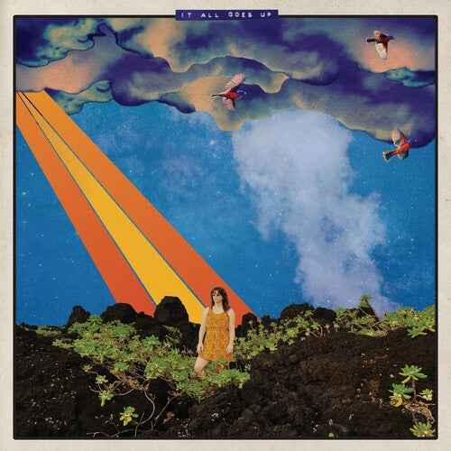 Beth Bombara: It All Goes Up -[Vinyl LP]