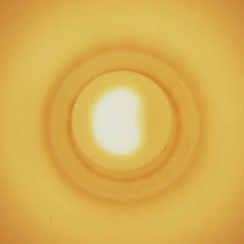 Gaute Granli: Monstersol -[Vinyl LP]