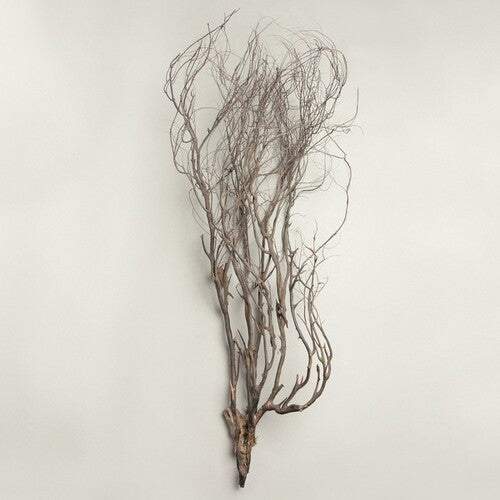 Mary Jane Leach: Woodwind Multiples -[Vinyl LP]