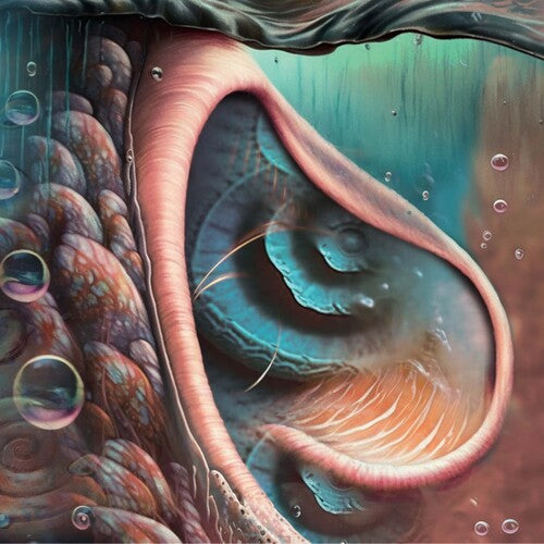 Various Artists: Meddle Reimagined - A Tribute To Pink Floyd (Various Artists) -[Vinyl LP]
