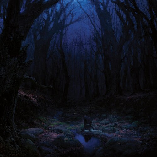 Woods of Desolation: Torn Beyond Reason - COMPACT DISCS