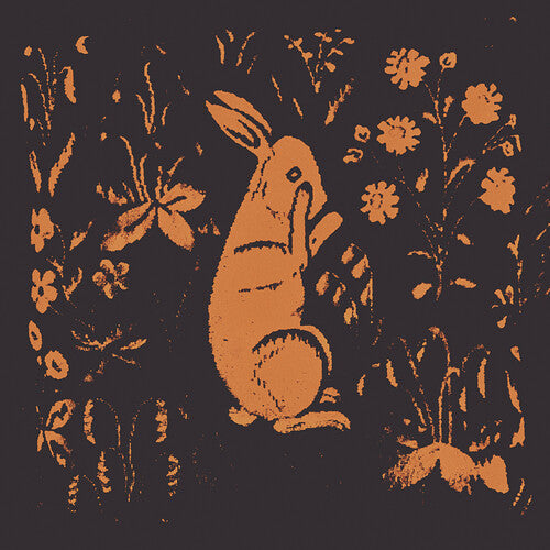 Sadness: Rabbit Album - COMPACT DISCS