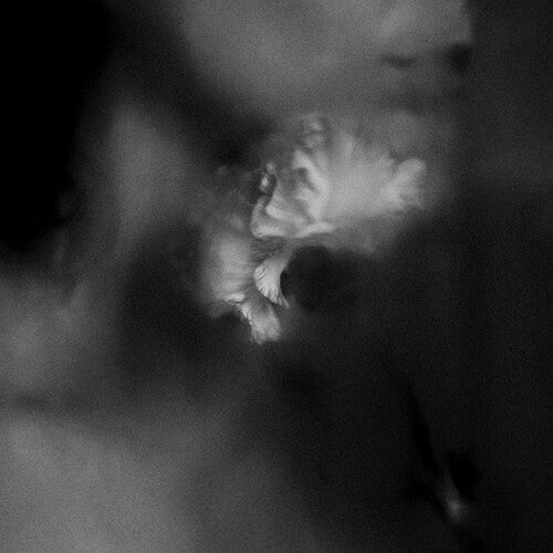 Holding Absence: Holding Absence -[Vinyl LP]