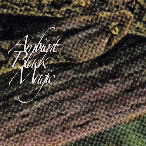 Rainforest Spiritual Enslavement: Ambient Black Magic -[Vinyl LP]