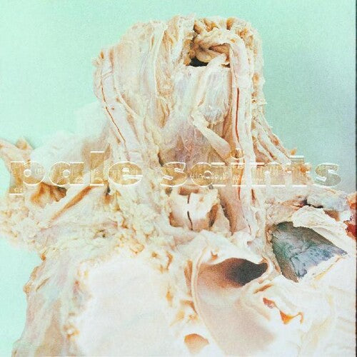 Pale Saints: In Ribbons -[Vinyl LP]