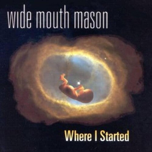 Wide Mouth Mason: Where I Started -[Vinyl LP]