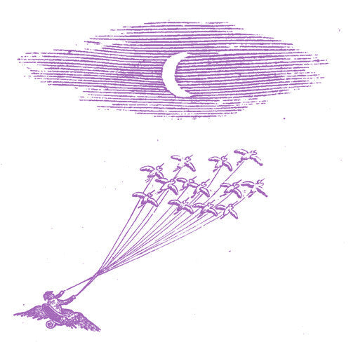Feeling Figures: Migration Magic -[Vinyl LP]