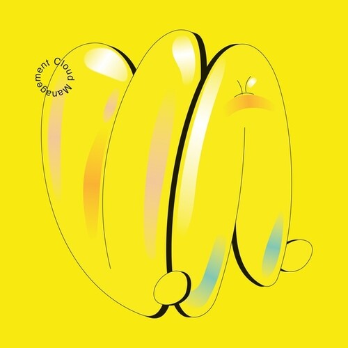 Cloud Management: V.A. -[Vinyl LP]