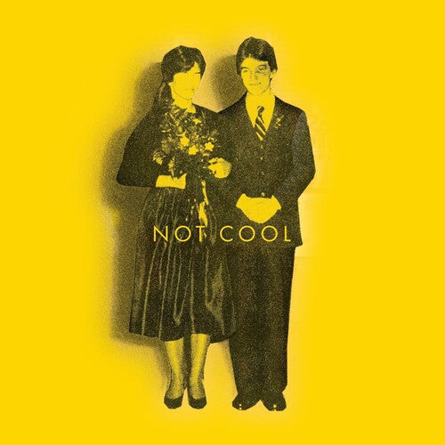 Tim Easton: Not Cool -[Vinyl LP]