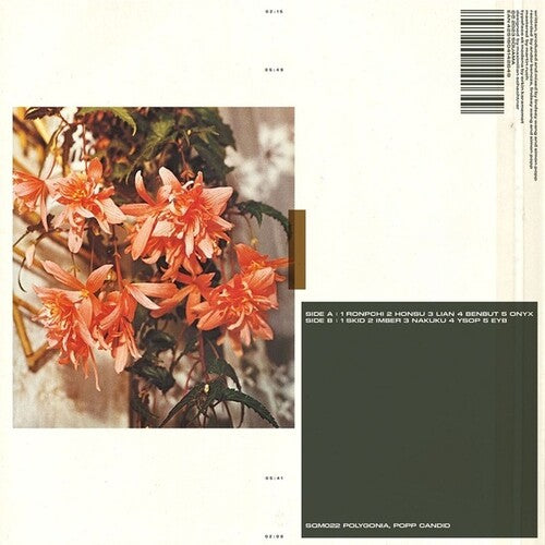 Popp Polygonia: Candid -[Vinyl LP]