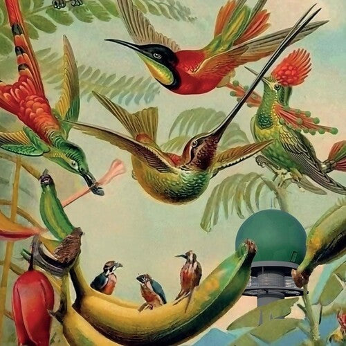 Various Artists: Radar Keroxen, Vol.4 -[Vinyl LP]