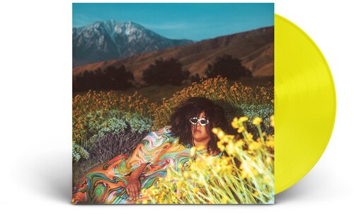 Brittany Howard: What Now -[Vinyl LP]