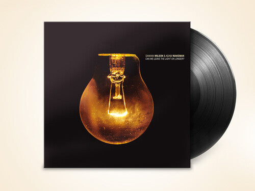 Damian Wilson: Can We Leave The Light On Longer? -[Vinyl LP]
