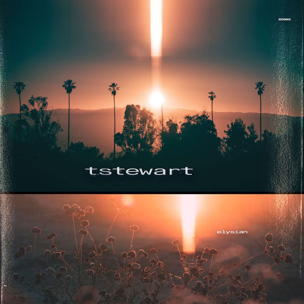 Tstewart: Elysian -[Vinyl LP]