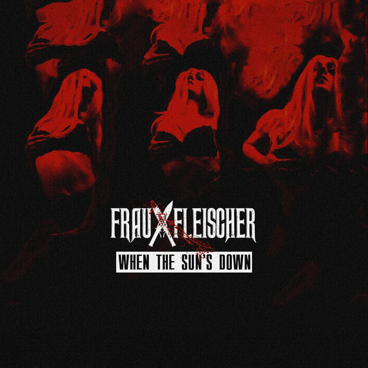 Fleischer, Frau: When The Sun's Down - COMPACT DISCS