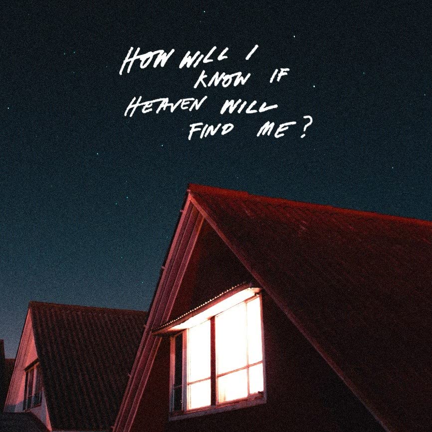 Amazons: How Will I Know If Heaven -[Vinyl LP]