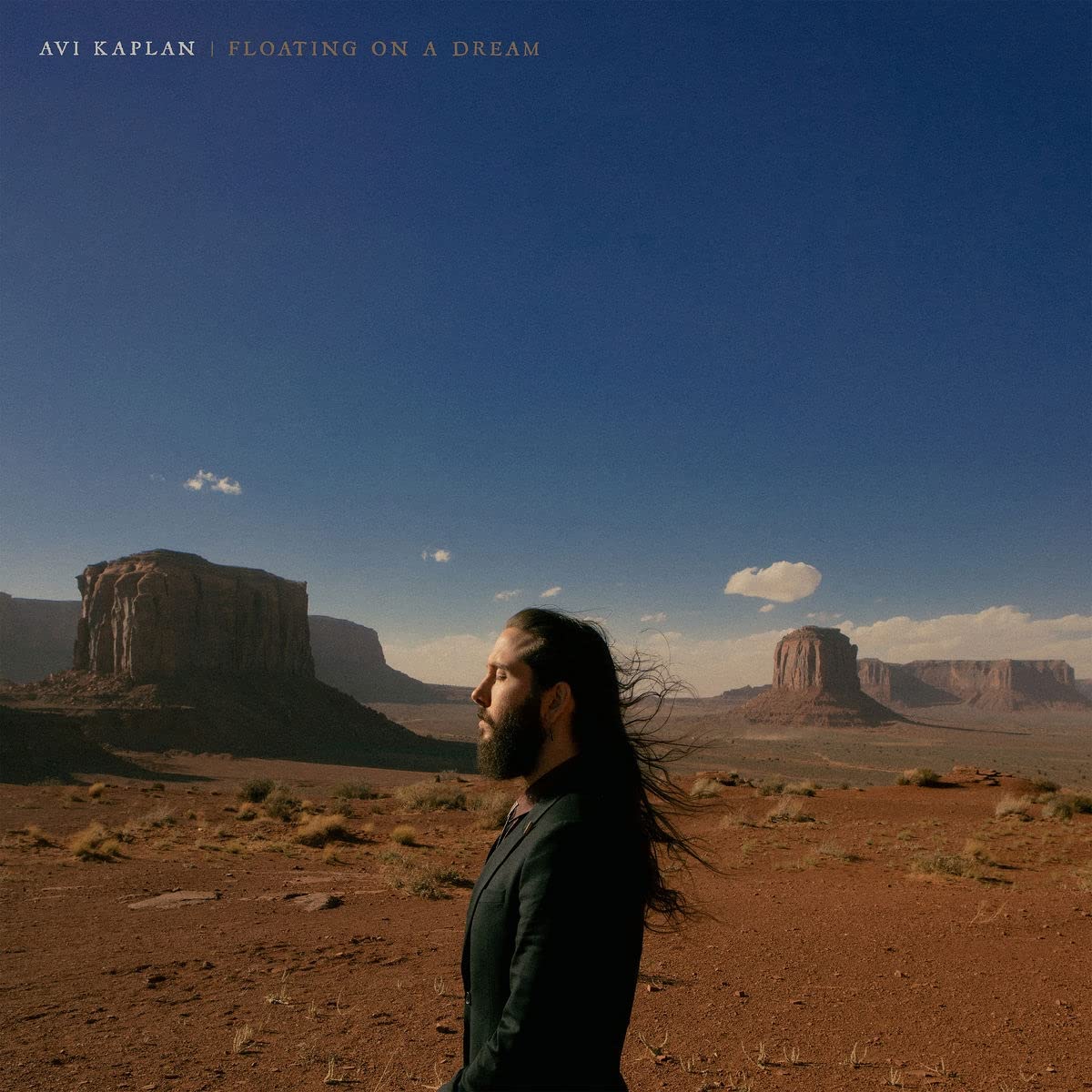 Avi Kaplan: Floating On A Dream -[Vinyl LP]